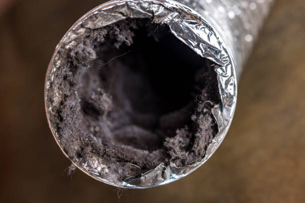 Best Air Duct Cleaning Near Me  in Millwood, WA
