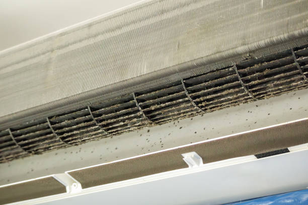 Best Emergency Air Duct Cleaning  in Millwood, WA